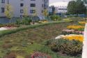 Intensive Green Roof