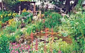 The choice of pond liner
