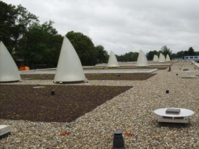 green roof Kentalis (NL)